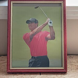 Tiger Woods ; Photograph (9x12) Framed. No Autograph